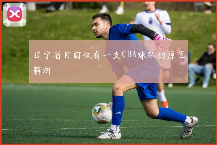 辽宁省目前仅有一支CBA球队的原因解析