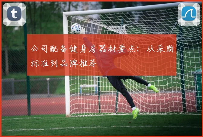 公司配备健身房器材要点：从采购标准到品牌推荐